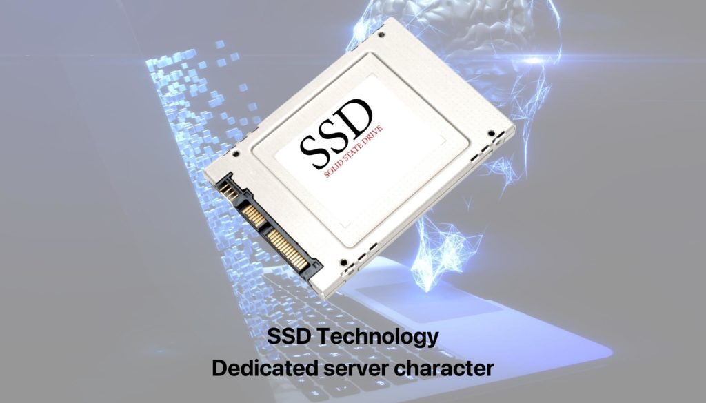 SSD Technology Dedicated server character