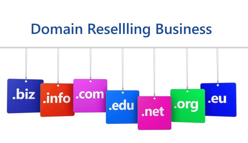 domain reselling business